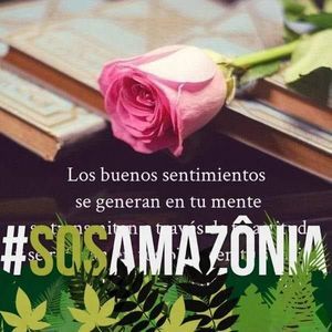 Meet your Posher, Isabel